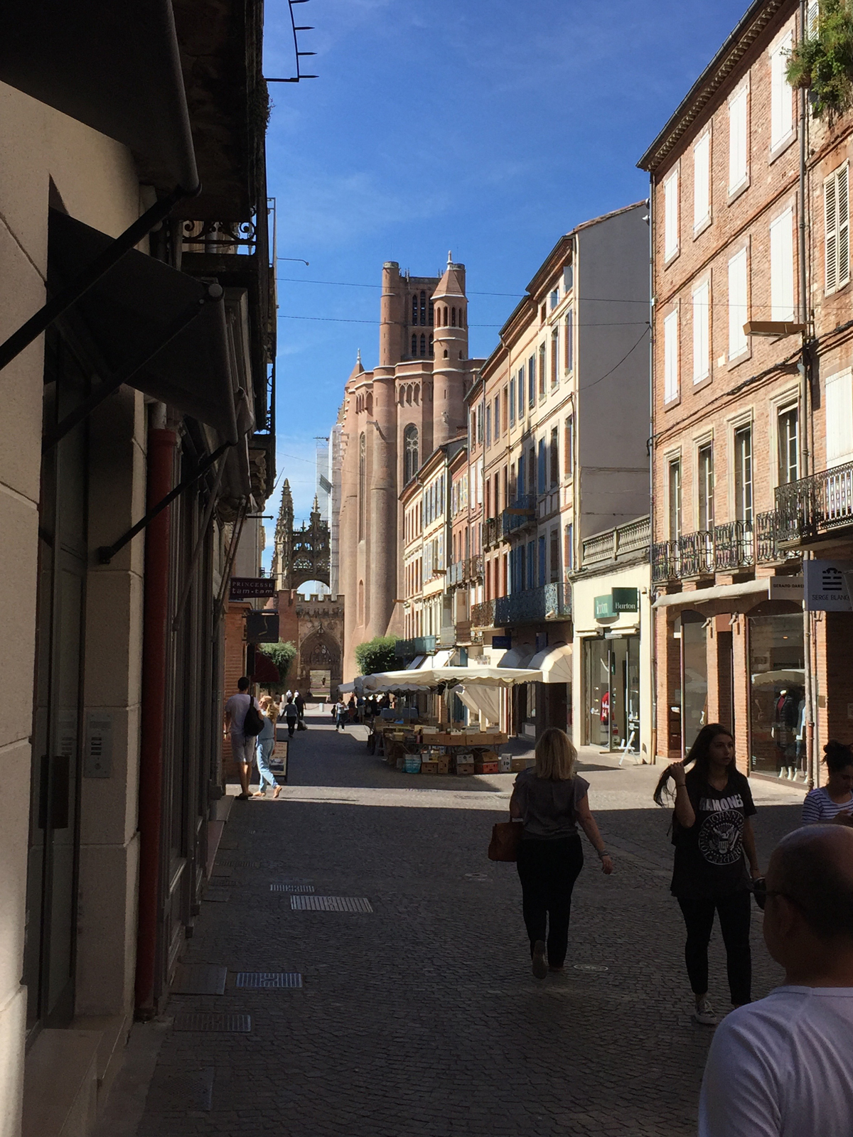 Albi street with cathedral