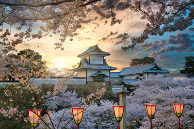 Kanazawa, Japan - Cherry Blossoms