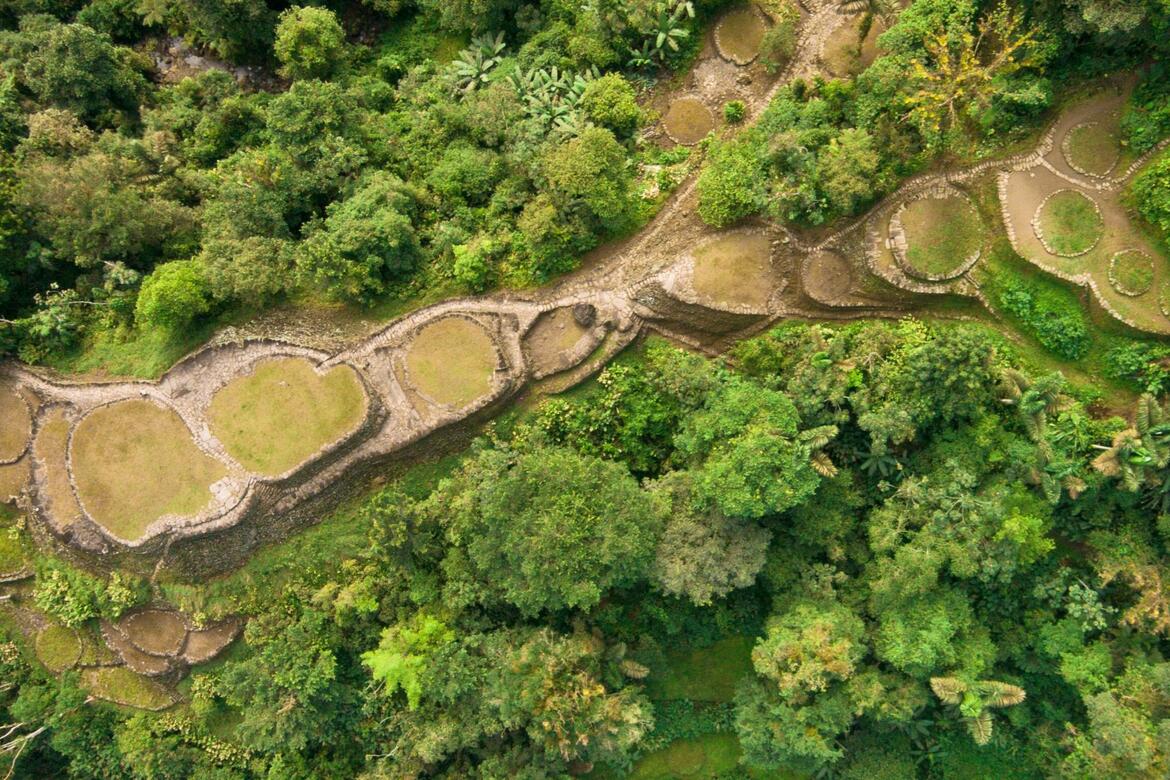 Aerial view of circular stone buildings in the middle of a jungle