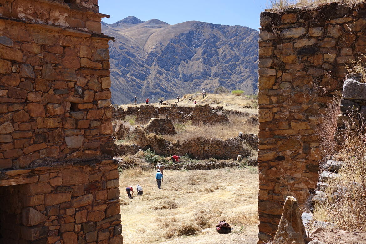 Vegetation control at the Ancient Town of Huaquis (2023) Rafael Schmitt / Instituto de Montaña