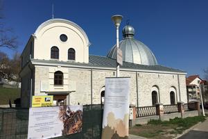 Great Synagogue of Iasi