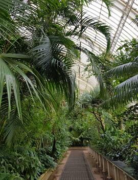 Interior of the Palm House, UK.