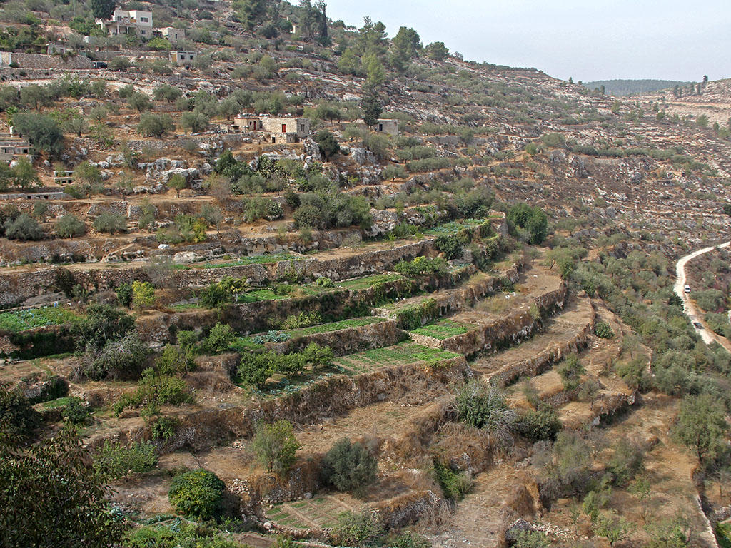 Загадки террас. Ancient irrigated Agriculture. Battir. Battir bin QAXVAXONASI.