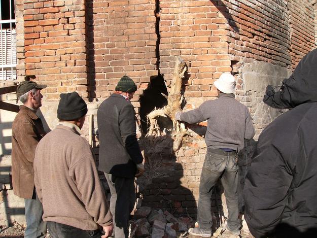 Removal of invading root from wall crack, 2005