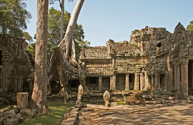 The ruins among a dense jungle setting, 2007