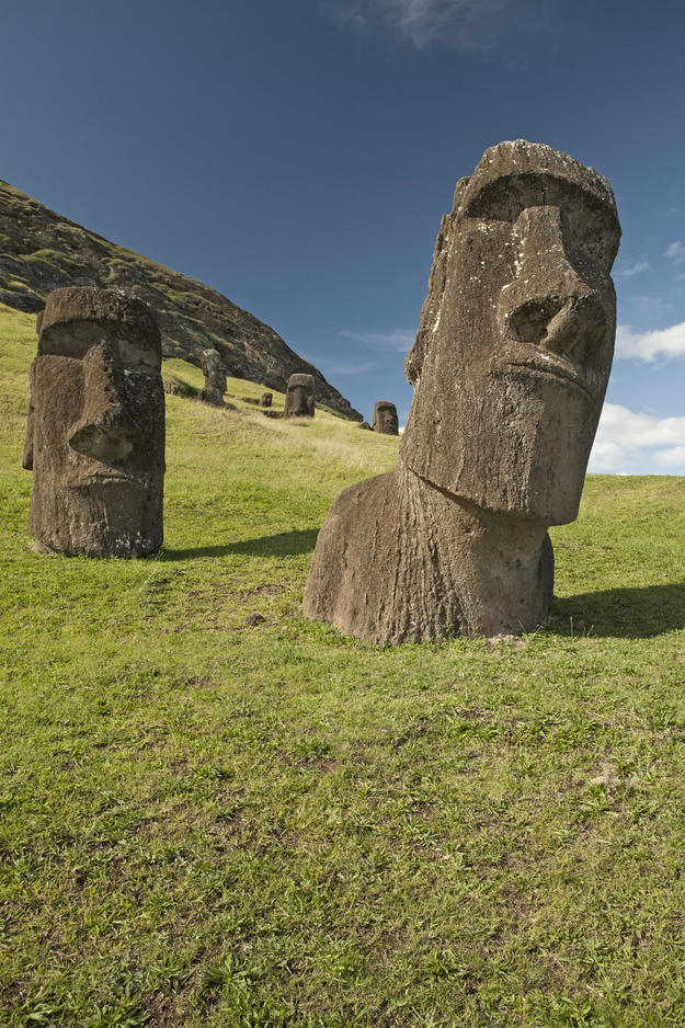 Moai at Rano Raraku, 2011