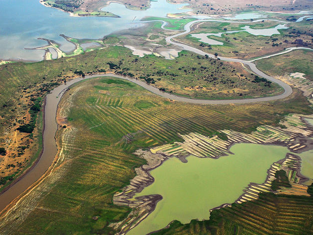 Ancient Ridged Fields of the San Jorge River Floodplain