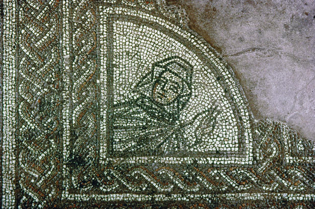 A detail of the winter mosaic, 2001
