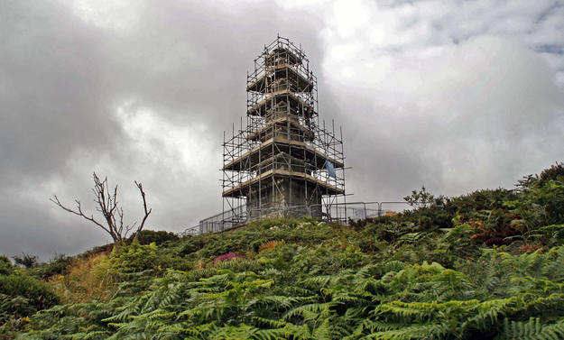 Scaffolding during conservation, 2014