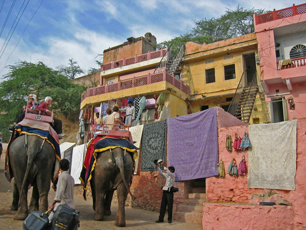 Elephants taking tourists to Amber Palace, 2003
