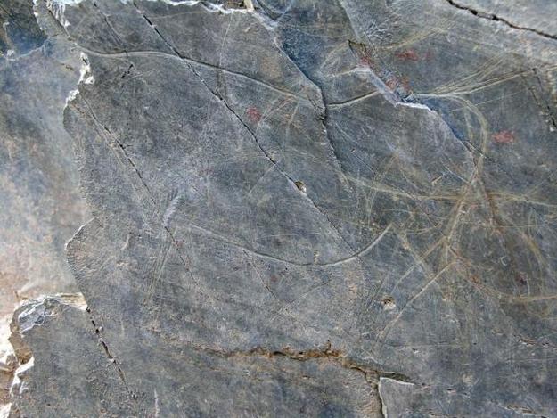Côa Valley Petroglyphs