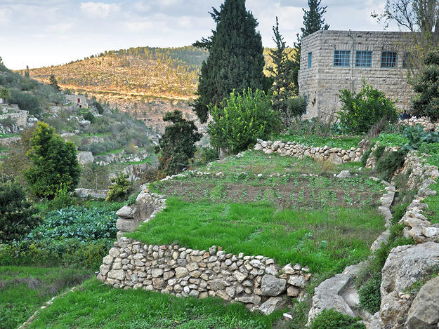 Ancient Irrigated Terraces of Battir