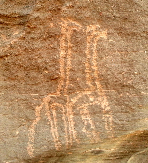 The surviving rock art includes many depictions of animals, 2015