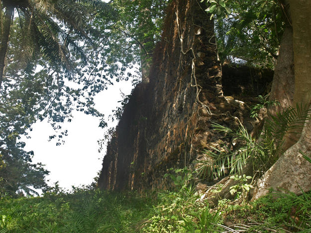 A view of the southern enclosure wall on Bunce Island, 2015