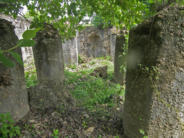 Ruins of a Kua mosque and its prayer room, 2015