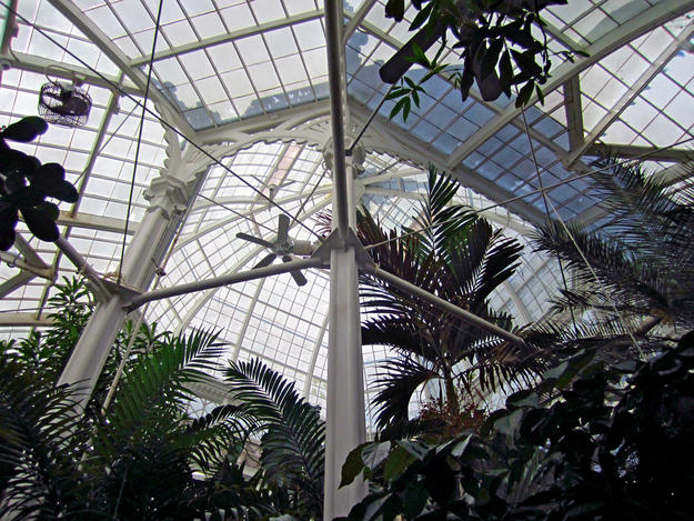 Ceiling of the Victorian greenhouse, 2012