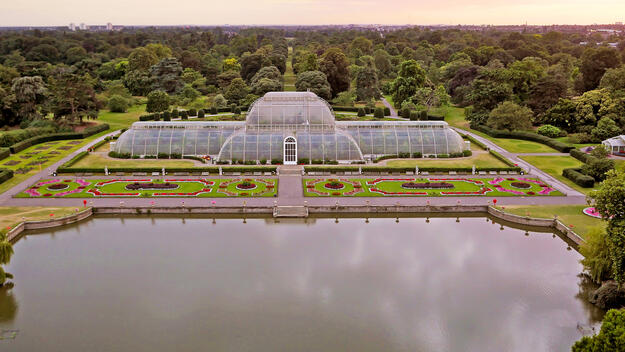 Aerial View of the Palm House