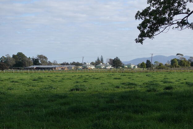 View of the dormitory site from the southeast, 2021.