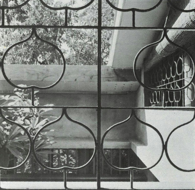 Black-and-white photo of plants through an iron grate.
