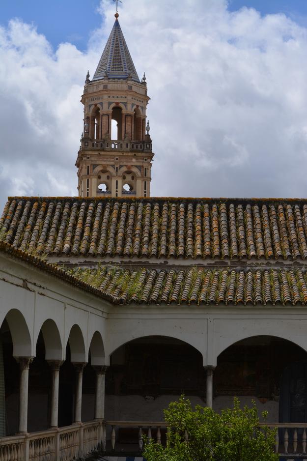 Exterior view of the cloister of the Convent of Santa Inés, showing roof tiles overrun with biological growth, 2016