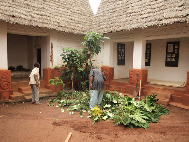Caretaker trimming a tree near a traditional building, 2014. 
