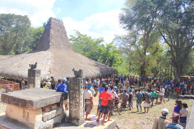 Ritual and celebration of bringing the main building pillars to the village from the ancient forest, 2017.