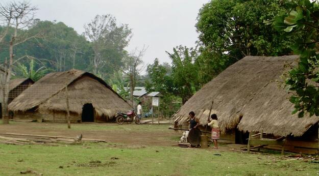 Two Bunong traditional houses in the Bu Lu village of the Bu Sra commune, 2008.