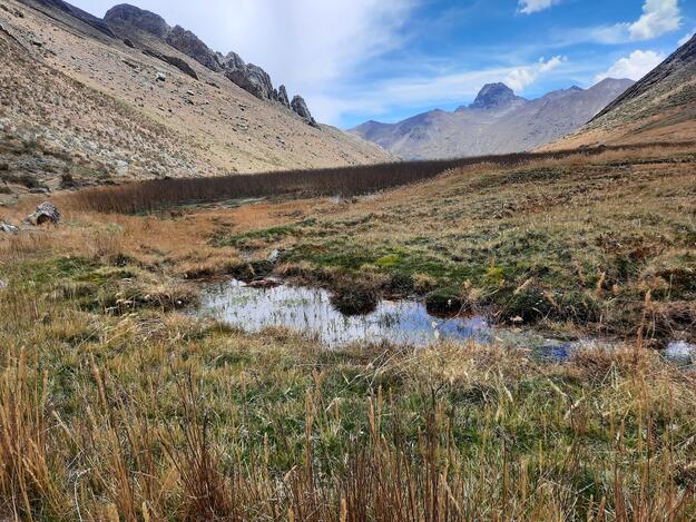 Wetland in the NorYauyos Cochas Landscape Reserve, 2021.