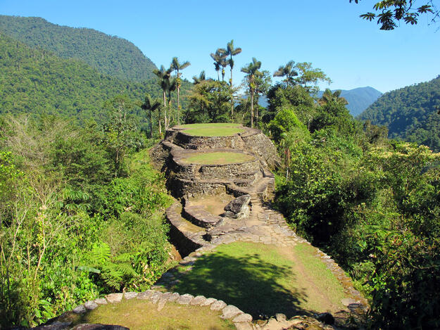 Circular stone mounds with grass growing on them and jungle trees in the background.