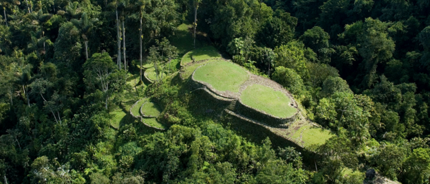 Aerial view of flat circular stone construction with grass growing on top.