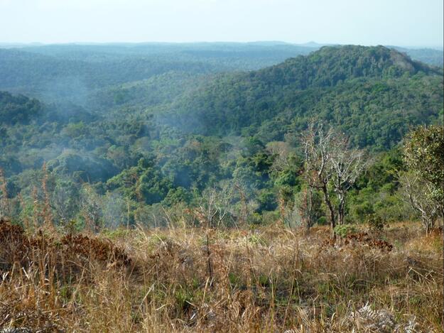 View of Tiger Mountain (on the right), an area rich in spirit-forests and part of the Lomes ancestral lands, 2010.
