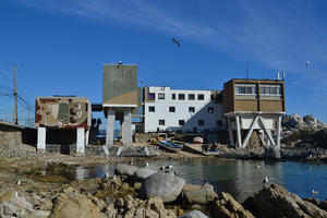 Montemar Institute of Marine Biology, Chile