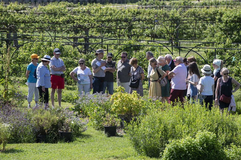 A group of Watch Day visitors at the Potager du Roi, 2019