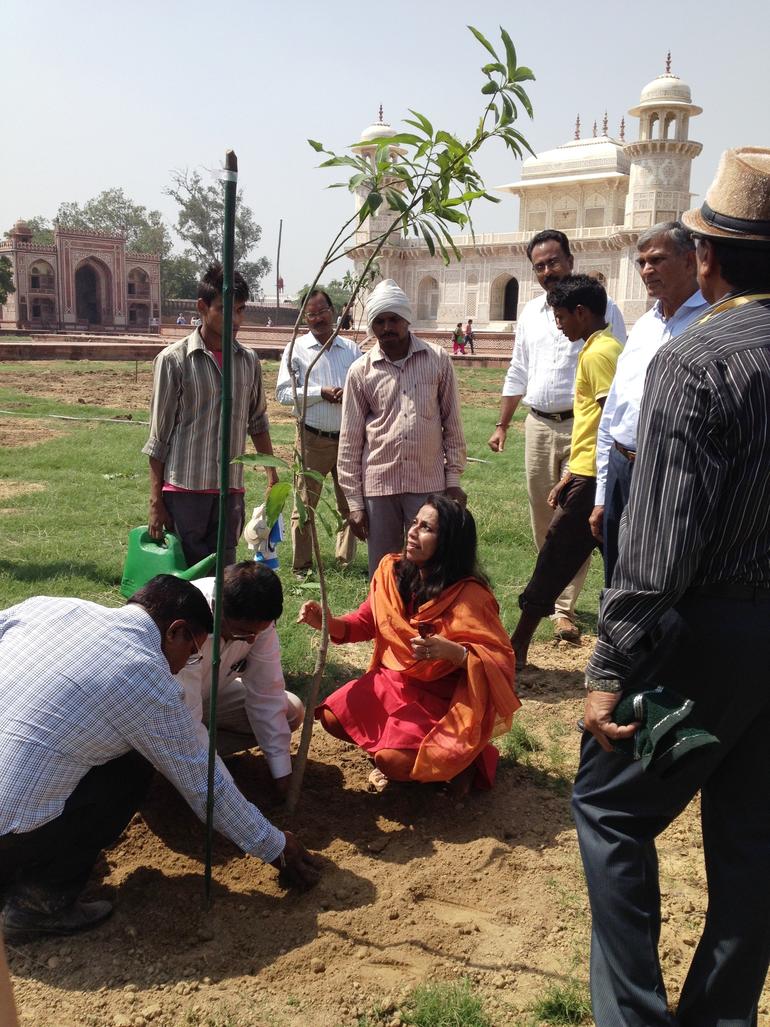 Annabelle Lopez assesses a planting at the garden of I'timad-ud-Daulah in Agra, India.