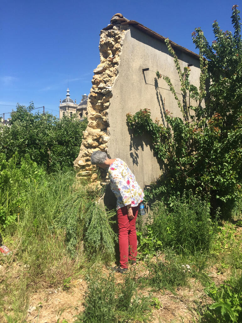 The collapsed southern wall of Jardin du Breuil, 2019.