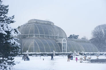 Winter day at the Palm House, UK.